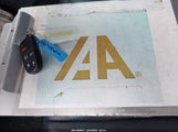 Miniaturka zdjęcia 11