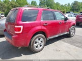 Ford Escape Xlt 1FMCU9D75AKA79339 снимка