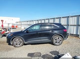 Ford Escape Sel 1FMCU0H62MUB19544 снимка