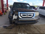 Honda Pilot Ex 5FNYF3H49BB051558 снимка