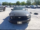 Ford Mustang V6 Deluxe/V6 Premium 1ZVFT84N475300463 fotografie