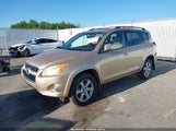 Toyota Rav4 Limited JTMBF31VX95013681 снимка