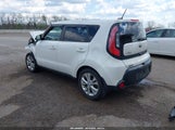 Miniaturka zdjęcia 3