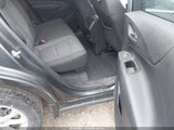 Miniaturka zdjęcia 8