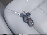 Miniaturka zdjęcia 11