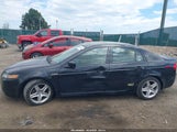 Acura Tl 19UUA66204A061182 снимка