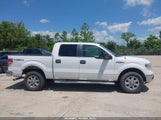 Ford F-150 Xlt 1FTFW1EF7EKD51981 photo