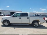 Ford F-150 Xlt 1FTFW1EF7EKD51981 photo