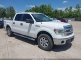 Ford F-150 Xlt 1FTFW1EF7EKD51981 photo