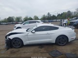 Ford Mustang Ecoboost Fastback 1FA6P8TH0N5145223 снимка
