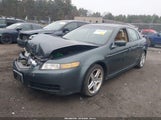 Acura Tl 19UUA66224A056842 снимка