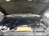 Ford F-150 Platinum 1FTEW1EG1FFB85598 снимка