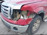 Ford F-150 Fx4/King Ranch/Lariat/Platinum/Xl/Xlt 1FTPW14V79FB36340 fotografie