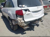 Miniaturka zdjęcia 6