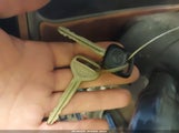 Miniaturka zdjęcia 11