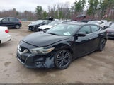 Nissan Maxima 3.5 Sl 1N4AA6AP8GC447979 снимка