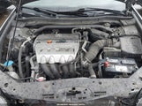Acura Tsx JH4CU26659C036320 снимка