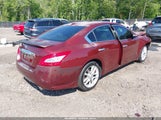 Nissan Maxima 3.5 Sv 1N4AA5AP1BC837759 снимка