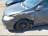 Toyota Corolla Le 2T1BU4EE6BC628033 fotografie