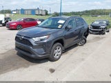 Miniaturka zdjęcia 2