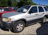 Ford Escape Xlt 1FMCU03103KC43544 снимка
