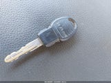 Miniaturka zdjęcia 11