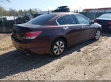 Honda Accord 3.5 Ex-L 5KBCP3F86AB005280 снимка