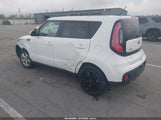 Miniaturka zdjęcia 3