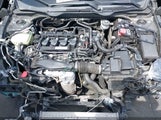 Honda Civic Ex-T 2HGFC1F35HH644658 снимка