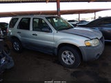 Ford Escape Xlt 1FMYU93145KD53722 снимка