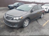 Toyota Corolla Le 5YFBU4EE2DP174513 fotografie