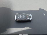 Miniaturka zdjęcia 11