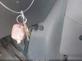 Miniaturka zdjęcia 11