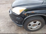 Miniaturka zdjęcia 6