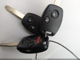 Miniaturka zdjęcia 11