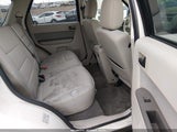 Ford Escape Xlt 1FMCU9DG5CKB43429 снимка