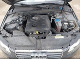 Miniaturka zdjęcia 10