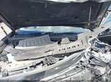 Miniaturka zdjęcia 10