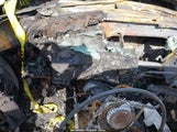 Miniaturka zdjęcia 7