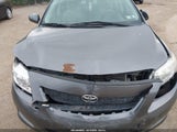 Toyota Corolla Le 2T1BU4EE7AC512189 fotografie