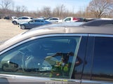 Chevrolet Equinox 1Lt 2GNFLEEK9C6247416 fotografie