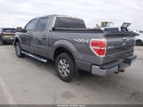 Ford F-150 Xlt 1FTFW1EF7EKE90394 снимка