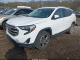 GMC Terrain Slt 3GKALVEV0JL249985 снимка