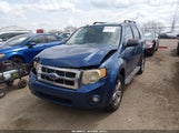 Ford Escape Xlt 1FMCU93198KB13158 снимка