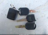 Miniaturka zdjęcia 11