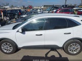Ford Escape Se Hybrid 1FMCU0BZ9MUA90966 photo