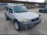 Ford Escape Xlt/Xlt Sport 1FMYU03177KA68155 photo