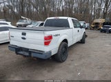 Ford F-150 Stx/Xl 1FTEX1EW5AFC64124 photo