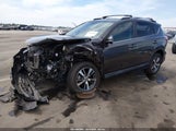 Toyota Rav4 Xle 2T3WFREV6GW257316 снимка