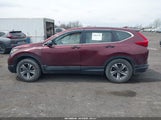 Honda Cr-V Lx 2HKRW6H30JH204938 photo